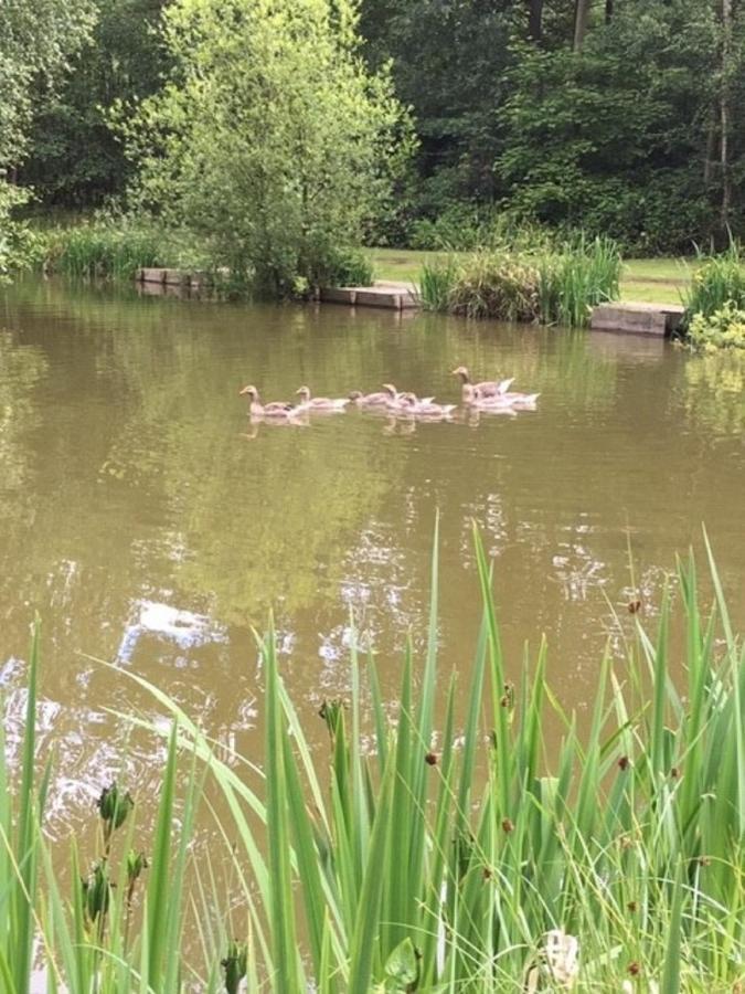 Hollicarrs Holiday Park - Hares Leap Riccall Extérieur photo